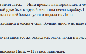 читать порно рассказы, порно рассказы бесплатно